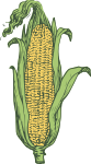 ear of corn - colored